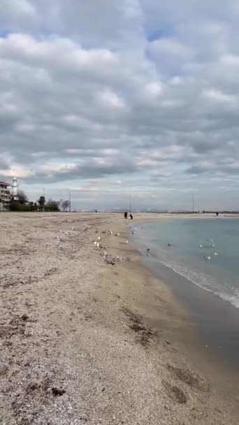 Yesilkoy Istanbul Turkey February 2023 Marmara Sea View Yesilkoy Beach — Wideo stockowe