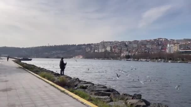 ハリック イスタンブール トルコ 2023年2月17日 ゴールデンホーンは トルコのイスタンブールにあるボスポラス海峡への主要な都市水路であり 主要な入り口である 冬の黄金の角からの自然景観 — ストック動画