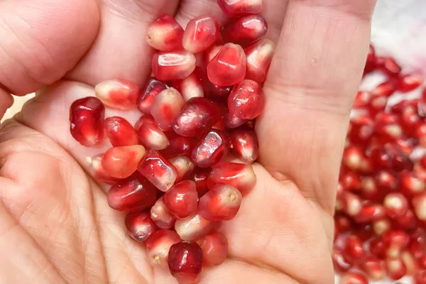 Close-up pomegranate seeds in hand