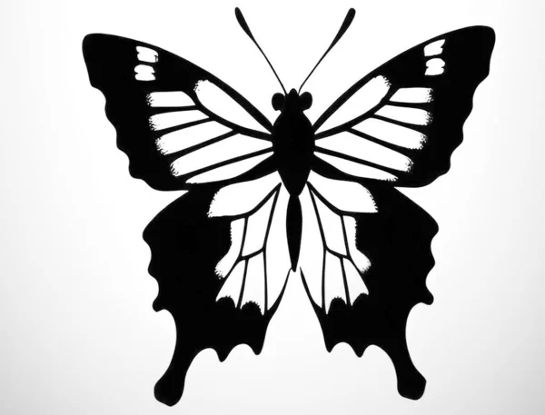 Vlindersilhouet Geïsoleerd Achtergrond Vector Illustratie Vlinders Achtergrond Stijl Van Pop — Stockvector