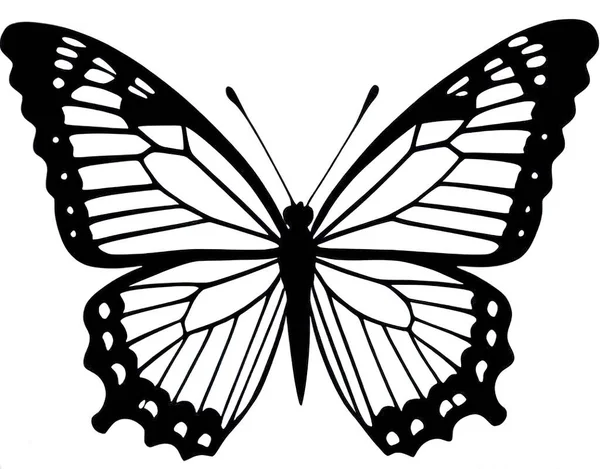 Silhouette Papillon Isolée Sur Fond Illustration Vectorielle Papillons Arrière Plan — Image vectorielle