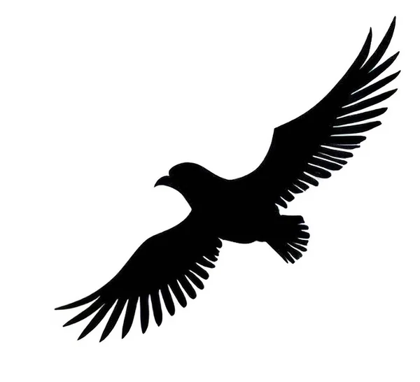 Racku Silueta Létajícího Ptáka Pozadí — Stockový vektor