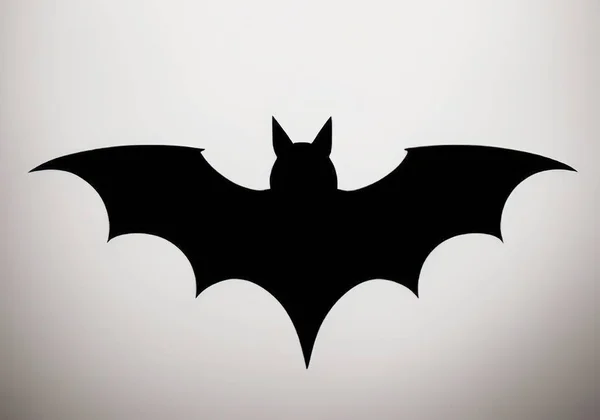 蝙蝠的轮廓在白色背景下被隔离 万圣节的标志 矢量图解 纹身设计 白色背景上的蝙蝠图标 — 图库矢量图片
