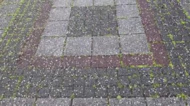 Dekoratif kaldırım taşları üzerinde yürüyorum