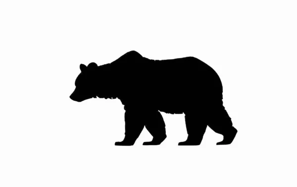 白地に黒い熊が孤立している あなたのデザインのためのベクトルイラスト 白い背景にクマのシルエット — ストックベクタ
