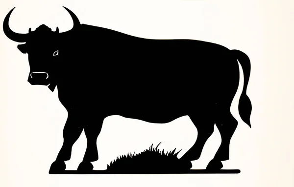白色背景上公牛的黑色轮廓 在白色背景上的公牛的矢量图像 — 图库矢量图片