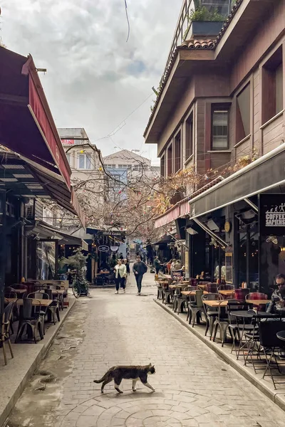 Стамбул Турция Апреля 2023 Года Стамбул Город Мечты Между Континентами — стоковое фото