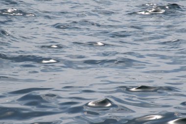 arka plan için deniz yüzeyi ve dalgalar