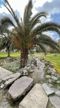 İstanbul 'un güzel mahallelerinden Atakoy Kazakistan Halk Parkı, Atakoy Kazakistan' da Doğa ve Kültür Buluştu. İstanbul 'un güzel mahallelerinden Atakoy Kazakistan Halk Parkı, doğa ve kültürün mükemmel bir karışımıdır.. 