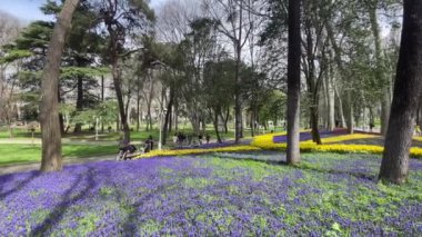 Gülhane, İstanbul, Fatih 'in Eminonu ilçesine bağlı tarihi bir parktır. İstanbul 'daki tarihi yarımadanın önemli sembollerinden Gulhane Parkı' ndan tarihi ve doğa manzarası.