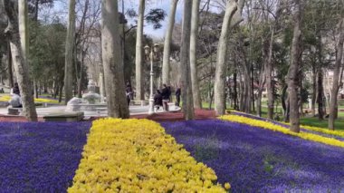 Gülhane, İstanbul, Fatih 'in Eminonu ilçesine bağlı tarihi bir parktır. İstanbul 'daki tarihi yarımadanın önemli sembollerinden Gulhane Parkı' ndan tarihi ve doğa manzarası.