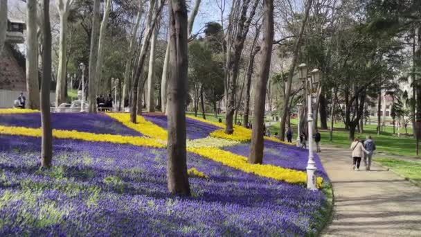 Парк Гулхане Исторический Парк Расположенный Районе Эминону Стамбульского Района Фатих — стоковое видео