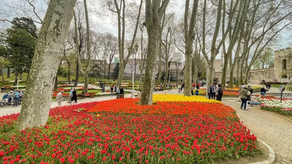 トルコ イスタンブール2023年4月16日グルハネ公園は 緑豊かなスペース 花の庭園 歴史的建造物で知られるトプカピ宮殿に隣接するイスタンブールの歴史公園です 歴史公園内からの眺め — ストック写真