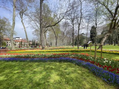 İstanbul, Türkiye. 16, 2023 Gulhane Parkı, Topkapı Sarayı 'nın bitişiğinde, yeşil alanları, çiçek bahçeleri ve tarihi binalarıyla tanınan tarihi bir parktır..