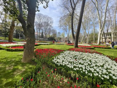 İstanbul, Türkiye. 16, 2023 Gulhane Parkı, Topkapı Sarayı 'nın bitişiğinde, yeşil alanları, çiçek bahçeleri ve tarihi binalarıyla tanınan tarihi bir parktır..