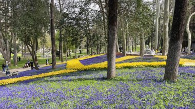 İstanbul, Türkiye. 16, 2023 Gulhane Parkı, Topkapı Sarayı 'nın bitişiğinde, yeşil alanları, çiçek bahçeleri ve tarihi binalarıyla tanınan tarihi bir parktır..