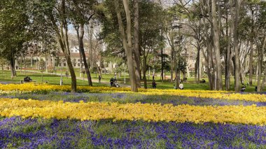 İstanbul, Türkiye. 16, 2023 Gulhane Parkı, Topkapı Sarayı 'nın bitişiğinde, yeşil alanları, çiçek bahçeleri ve tarihi binalarıyla tanınan tarihi bir parktır..