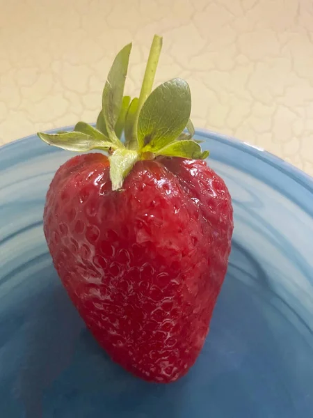 Erdbeere Auf Blauem Teller Mit Grünem Blatt Darauf — Stockvektor