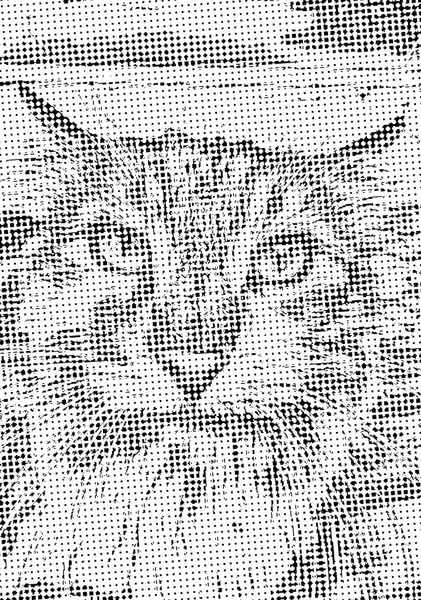猫の頭のベクトルイメージをハーフトーンスタイルで表現 — ストックベクタ