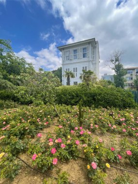 Kadıköy, istanbul, Türkiye.27 Mays 2023.Kadky, istanbul, Türkiye. 27 Mayıs 2023 'te İstanbul' un Kadiköy ilçesindeki Kurbagalidere kıyısındaki tarihi istanbul evleri. Dış görünüm.