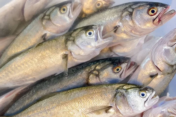 Färsk Fisk Till Salu Fiskmarknad — Stock vektor