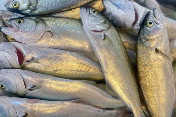 Peixes Frescos Para Venda Num Mercado Peixe —  Vetores de Stock