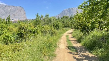 Bilecik, Türkiye. 11 Haziran 2023.Harmankoy, Bilecik ilinin İnhisar ilçesine bağlı bir köydür. Doğa ve köy hayatı.