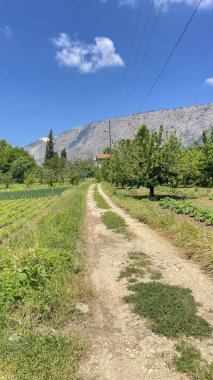 Bilecik, Türkiye. 11 Haziran 2023.Harmankoy, Bilecik ilinin İnhisar ilçesine bağlı bir köydür. Doğa ve köy hayatı.