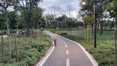 Atakoy, İstanbul, Türkiye. 13 Haziran 2023 Ayamama Yaşam Vadisi İstanbul 'un Atakoy ilçesinde yer alan görkemli bir doğal alan ve dinlenme alanıdır..