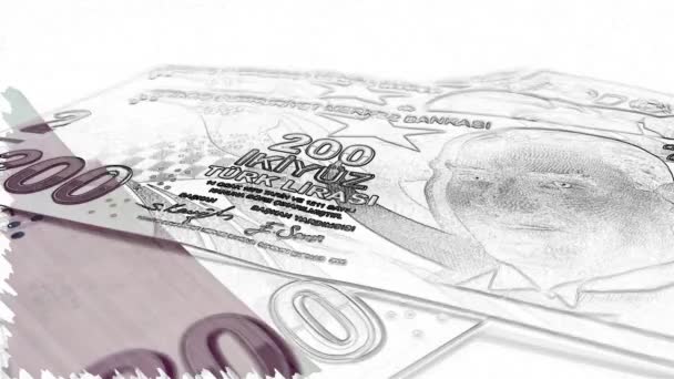 トルコのリラ紙幣200枚 トルコの通貨の優雅さ 動くな — ストック動画