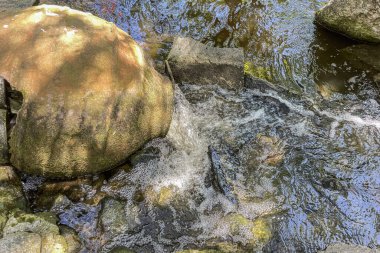 Katalca, istanbul, Türkiye. 24 Haziran 2023 Antikkoy, İstanbul 'a ve doğaya yakın olmak isteyenler için ideal bir yer..