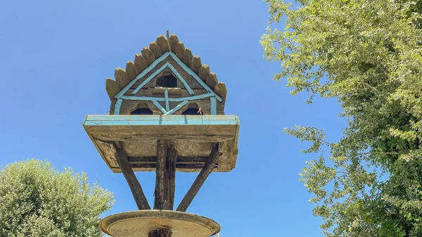 Деревянное Птичье Гнездо Парке Вид Снизу Голубое Небо — стоковое фото