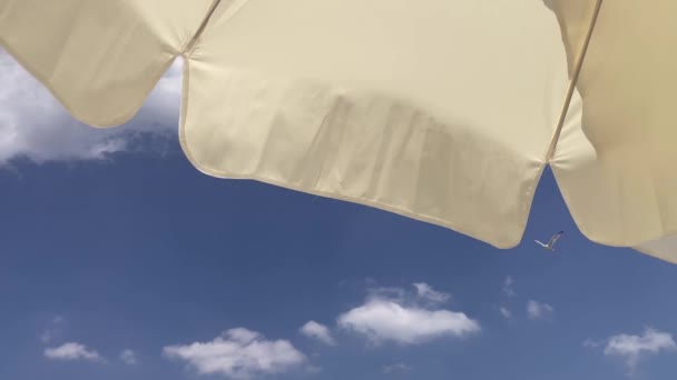 Blue Sky Beach Umbrella Hot Windy Summer Day Seashore Beach — Stock Video