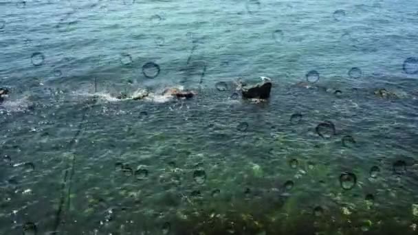 Мир Морських Обіймах Скелі Чайки Поруч Чистими Водами Мрійливий Пляж — стокове відео