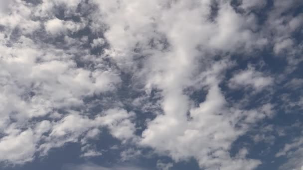 空と雲の魔法のダンス 青い空と雲は 自然の壮大な写真を作成する視覚的な饗宴です — ストック動画