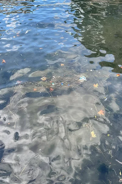 Garbage on the water surface. Wastes floating on the water surface. Environmental awareness and protecting nature.