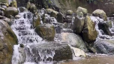 Ormanın Kalbindeki Saklı Güzel: Doğanın Majesteleri 'nin Efsanevi Şelalesi' ni Huzurlu Ormanda Keşfetmek ve Doğanın Şahitliği