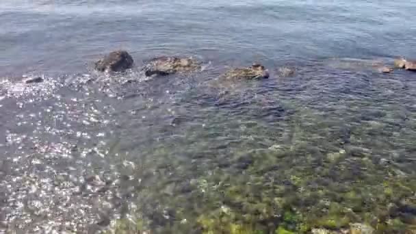 Сьогодні Сонячний Ранок Узбережжя Скелі Водорості Чисте Море — стокове відео