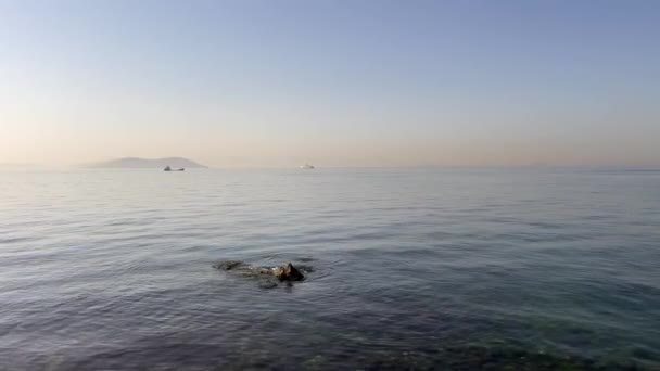 イスタンブール トルコ 2023 イスタンブールで霧の多い土曜日の朝 フェナーバース地区の海岸からのマルマラ海の交通と海の景色 — ストック動画