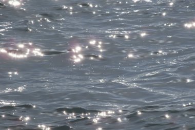 Renkli bir sonbahar gününde hafif rüzgarın esintisiyle canlanan güneş gökyüzünde parlıyor ve denizin dalgalı yüzeyi büyüleyici bir manzara sunuyor. Sakin bir sonbahar gününde dalgalı deniz manzarası. Dalgalı Deniz Burnu Güneşli Gökyüzünün Altında .