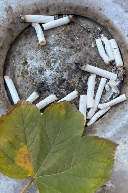 Çevre koruma ve farkındalık artıyor. Sigara İzmaritleri ve Doğa Koruma. Çevre ve Doğa Koruma Bilincine Saygı. Sigara İzmaritlerinin Zararları ve Sürdürülebilir Çevre Bilinci