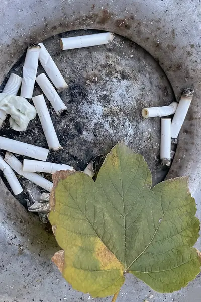 Environmental Protection and Awareness Raising. Cigarette Butts and Nature Protection. Respect for the Environment and Nature Protection Awareness. Harms of Cigarette Butts and Developing Sustainable Environmental Awareness
