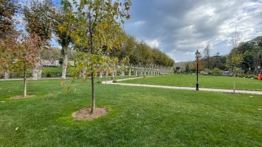 Beykoz, İstanbul, Türkiye. 12 Kasım 2023. Zengin koleksiyonunun yanı sıra bir kütüphane, kafe, atölye, botanik parkı ve mini hayvanat bahçesi ile dünyanın önde gelen örneklerinden biri olan Beykoz Cam ve Kristal Müzesi. 