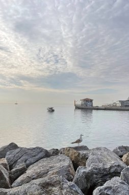 Moda, istanbul, Türkiye. 31 Aralık 2023.Tatil Köyü ve İstanbul.Moda bölgesi. Marmara deniz kıyısındaki tarihi Moda rıhtımının manzarası..