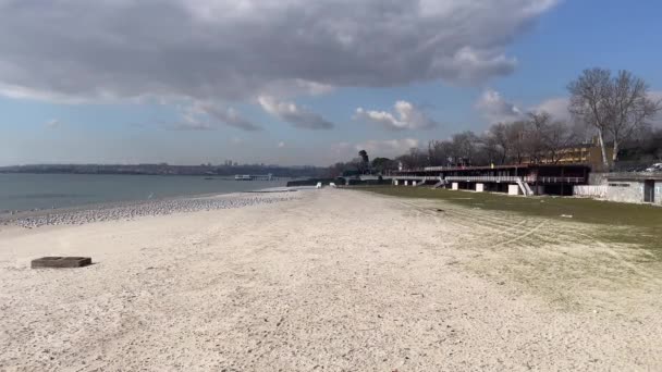 フロリヤ スタニスボル トルコ 2024 フロリヤ海岸と冬季のビーチ ビーチからの眺め Istanbul省 Marmara海 — ストック動画