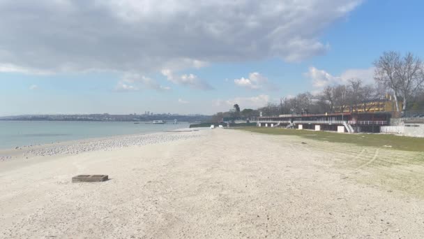 Florya Stanbul Türkiye Şubat 2024 Kışın Florya Sahili Plajı Sahilden — Stok video