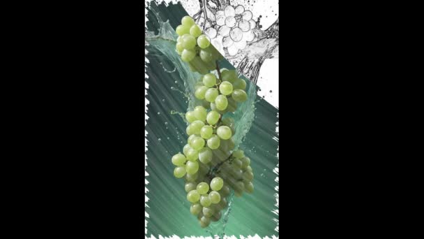 Frukt Med Vatten Stänk Isolerad Bakgrunden Illustration Frukt Stänk Vatten — Stockvideo