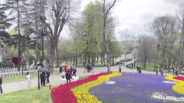 Emirgan Istanbul Turecko Dubna 2024 Barevné Jaro Istanbulu Tulipánový Festival — Stock video