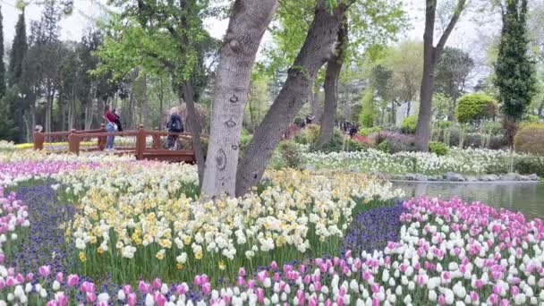 Emirgan Istanbul Turkije April 2024 Kleurrijke Lente Van Istanbul Tulpenfestival — Stockvideo
