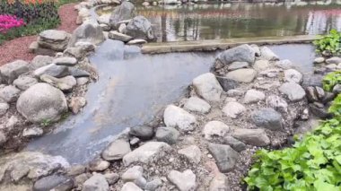 Emirgan, İstanbul, Türkiye. İstanbul 'un 8.2024 Renkli Baharı. Emirgan Korusu 'nda lale festivali coşkusu. İstanbul 'un Tarihsel Zenginliğiyle Doğa Buluşmasının İhtişamı. Emirgan Korusunda Bahar Günleri Lale Festivali ile Renkli. 